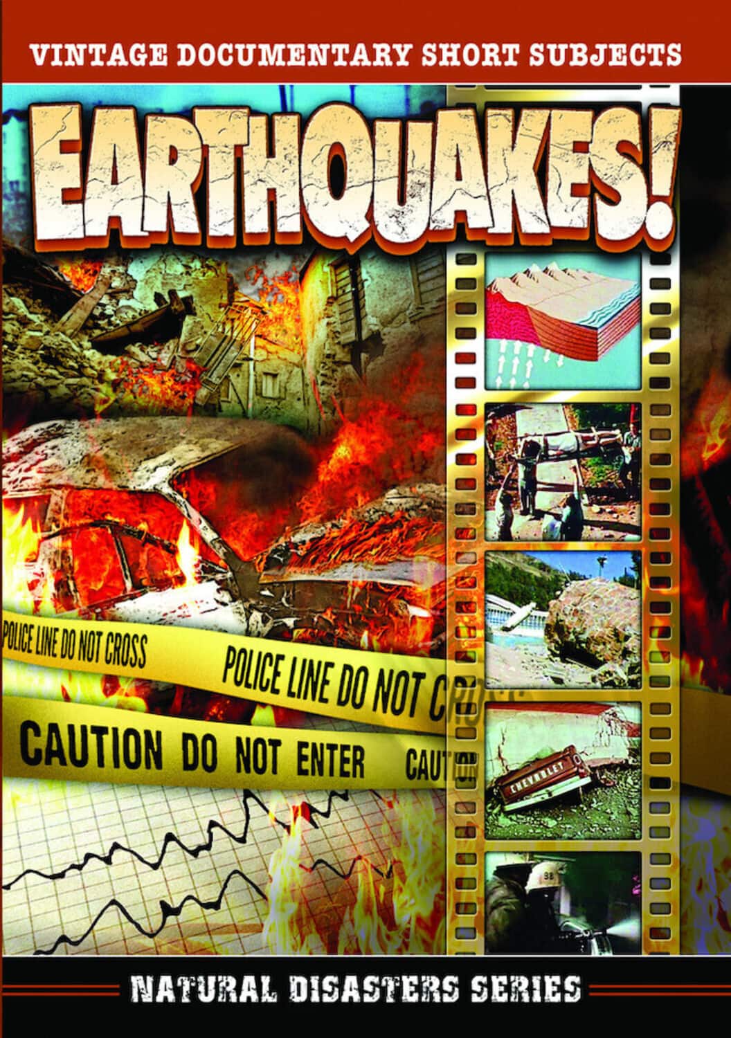 Earthquakes!  - DVD