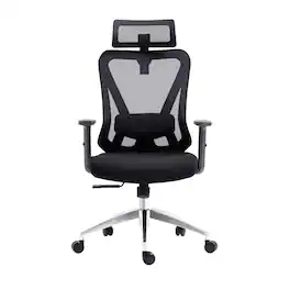 Forest'nSky - High Back Executive Sport Race Office Chair with Flip-Up Arms - Black