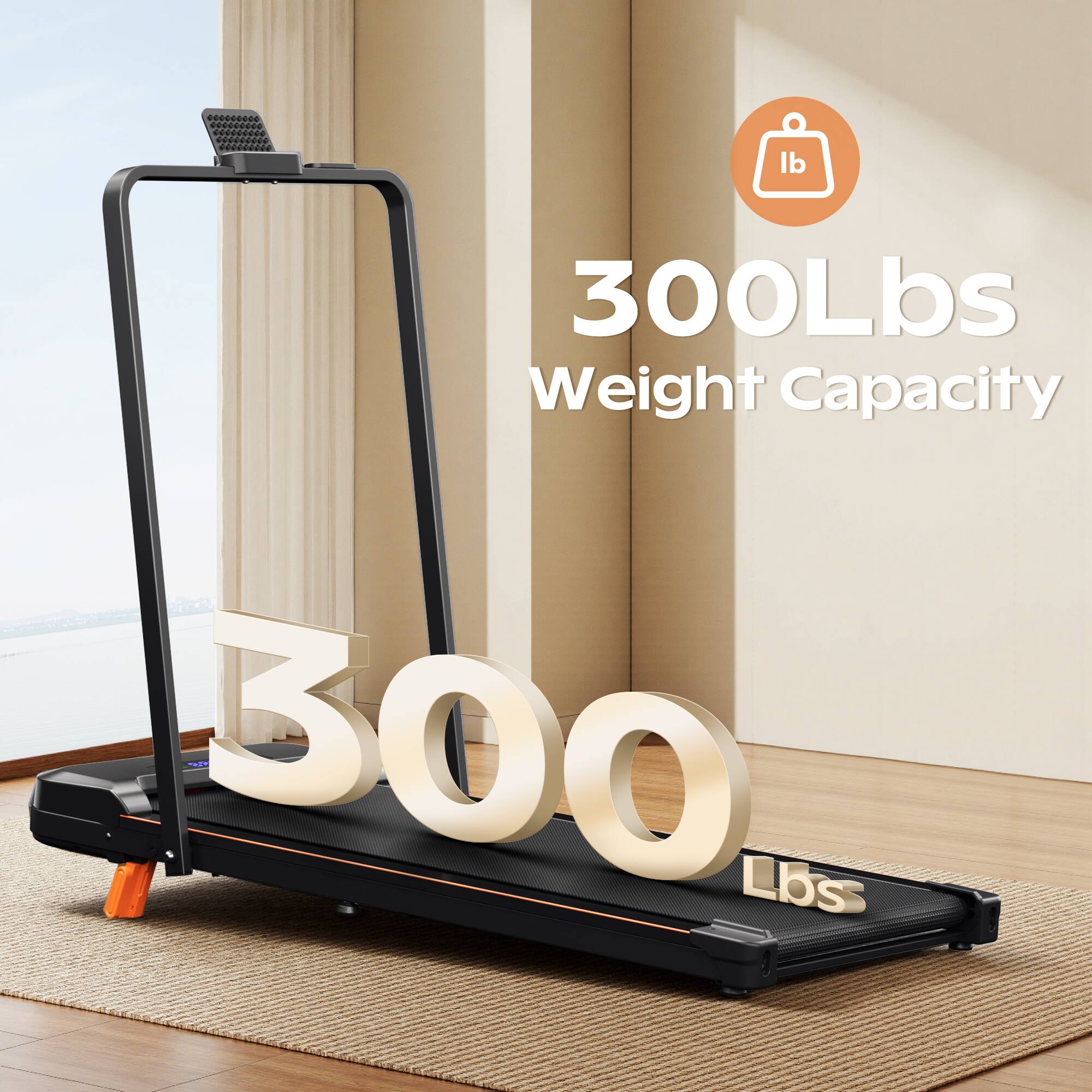 300 Lbs Weight Capacity