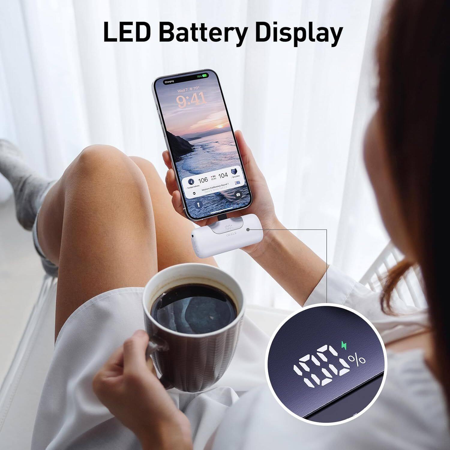 LED Battery Display