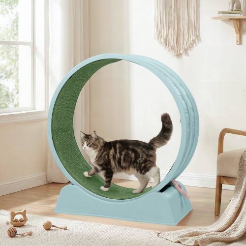 Alt View 9. Winado - Cat Exercise Wheel, 31-inch Cat Treadmill with Detachable Carpet, Safety Lock, Teaser Running Silent for Indoor Playing - Light Blue.