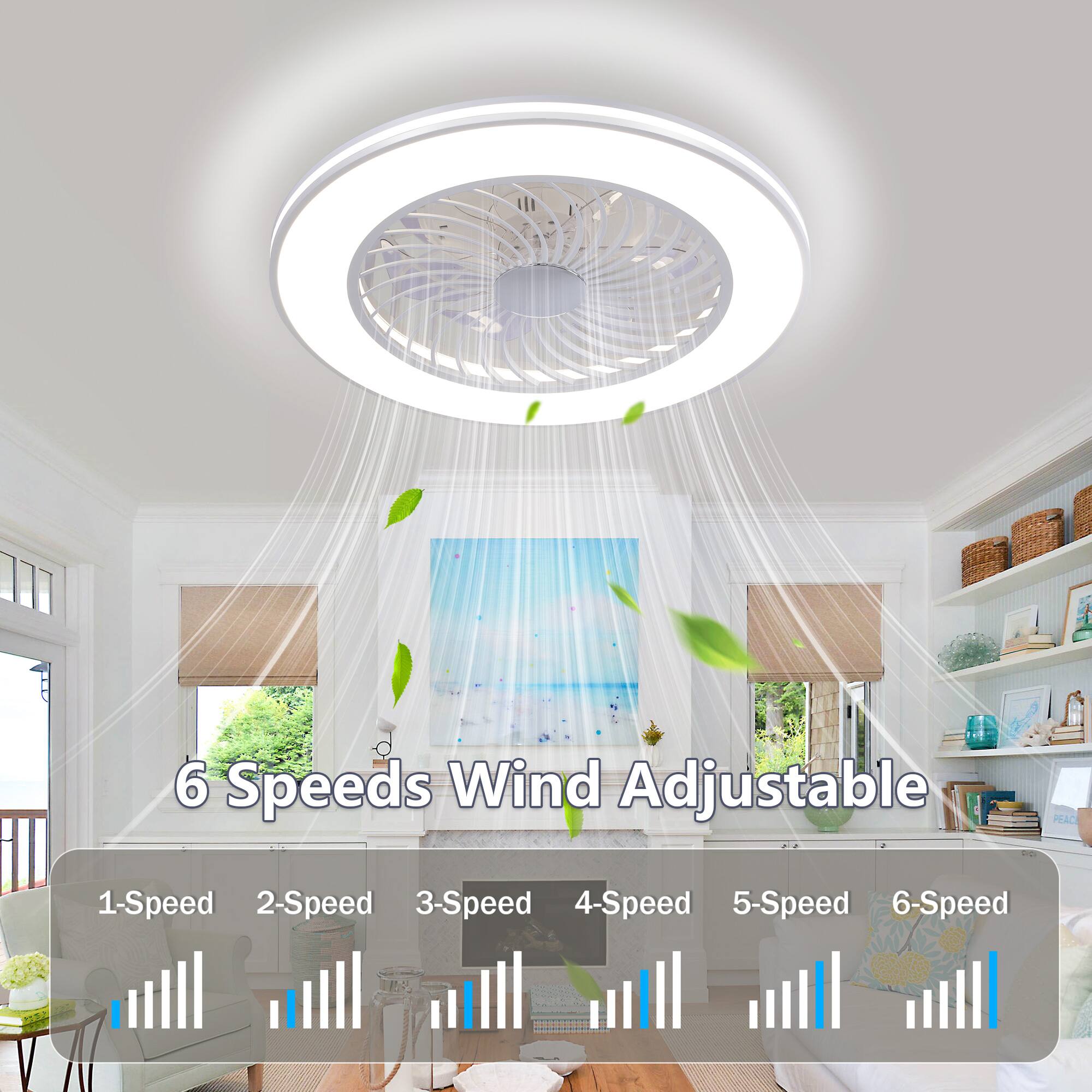 6 Speeds Wind Adjustable  
1-Speed  
2-Speed  
3-Speed  
4-Speed  
5-Speed  
6-Speed