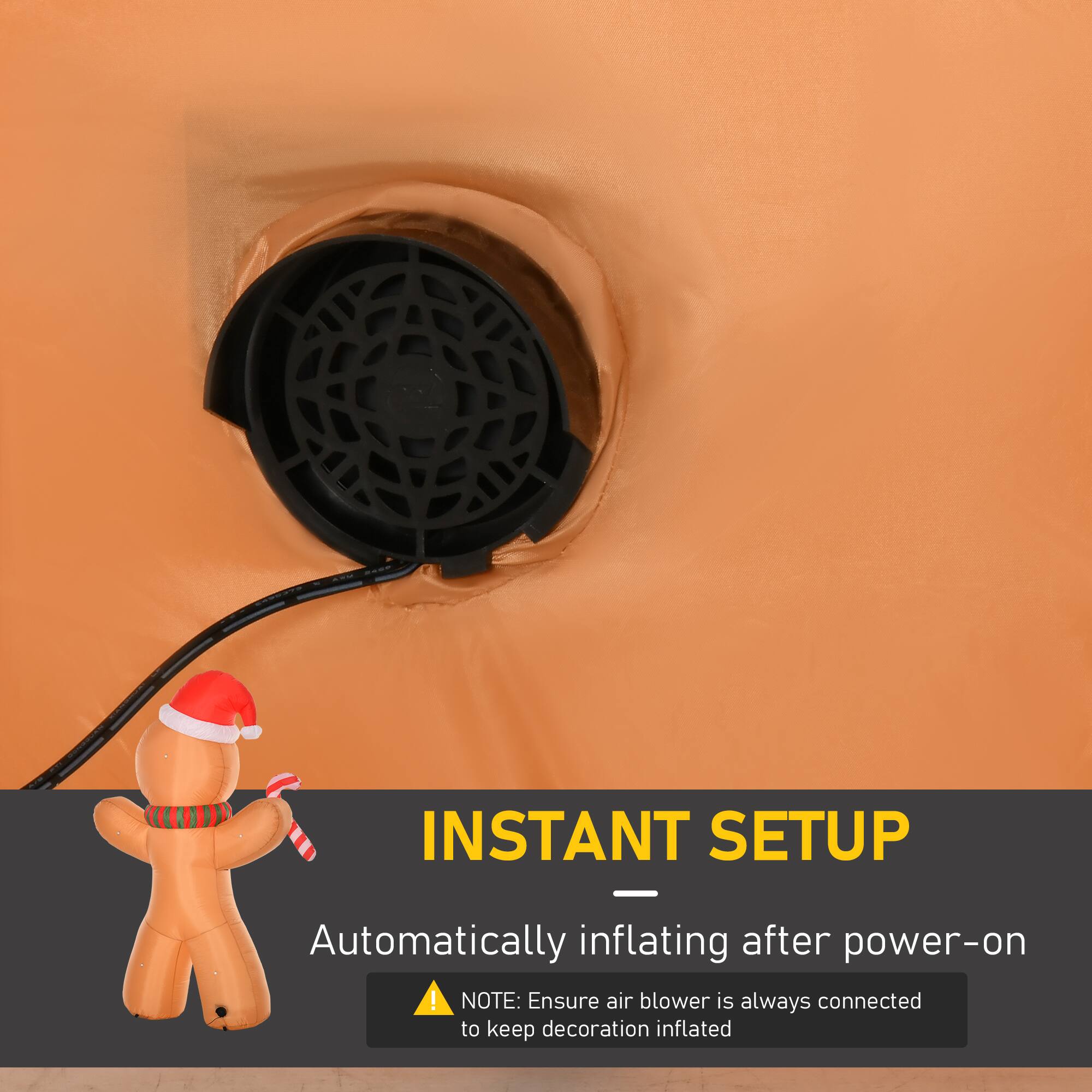 INSTANT SETUP  
Automatically inflating after power-on  

NOTE: Ensure air blower is always connected to keep decoration inflated