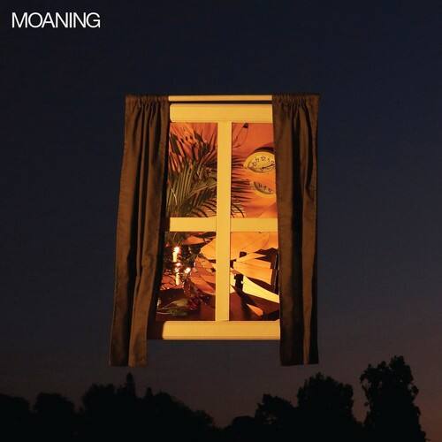 Front. The Moaning - Moaning   - VINYL LP.