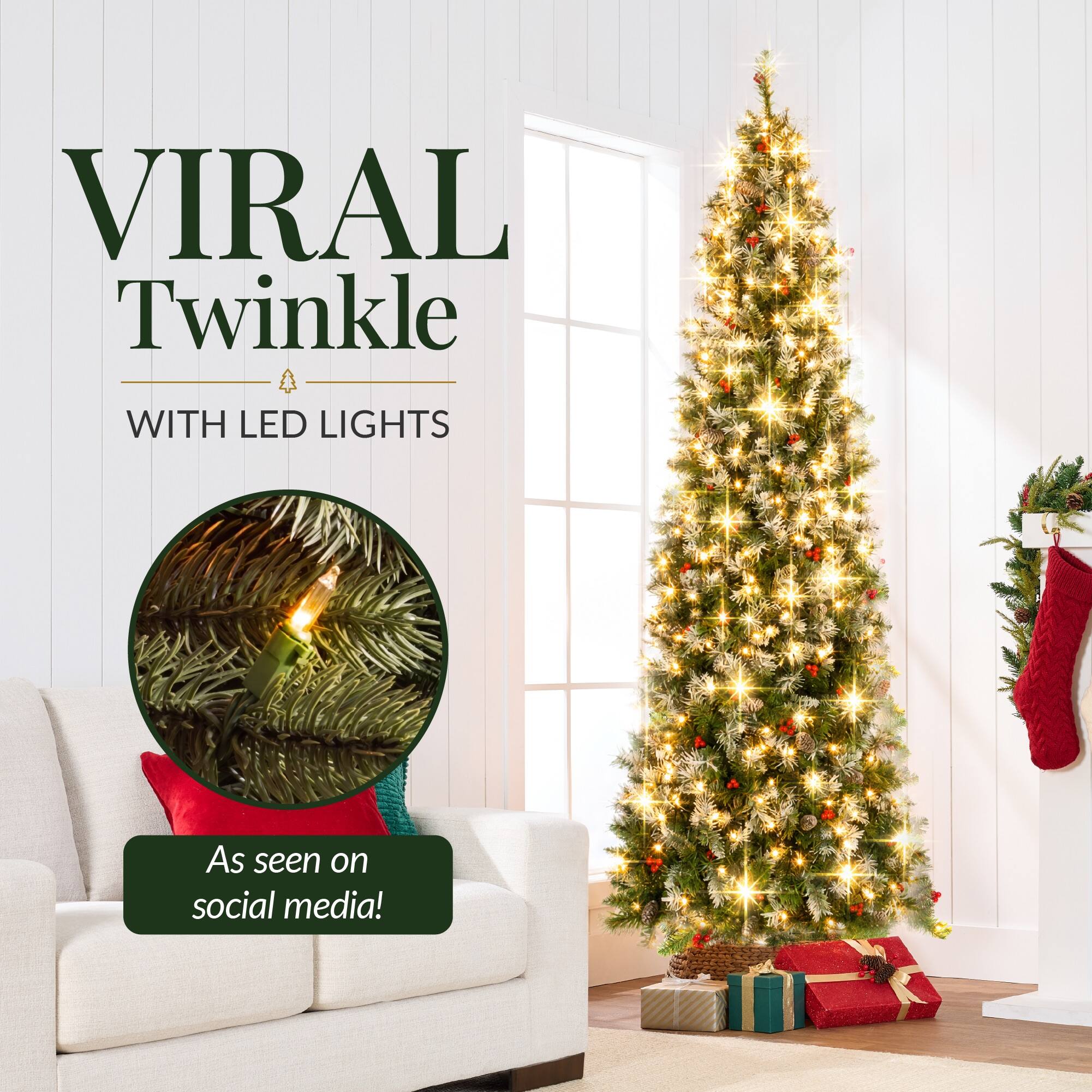 VIRAL Twinkle  
WITH LED LIGHTS  
As seen on social media!