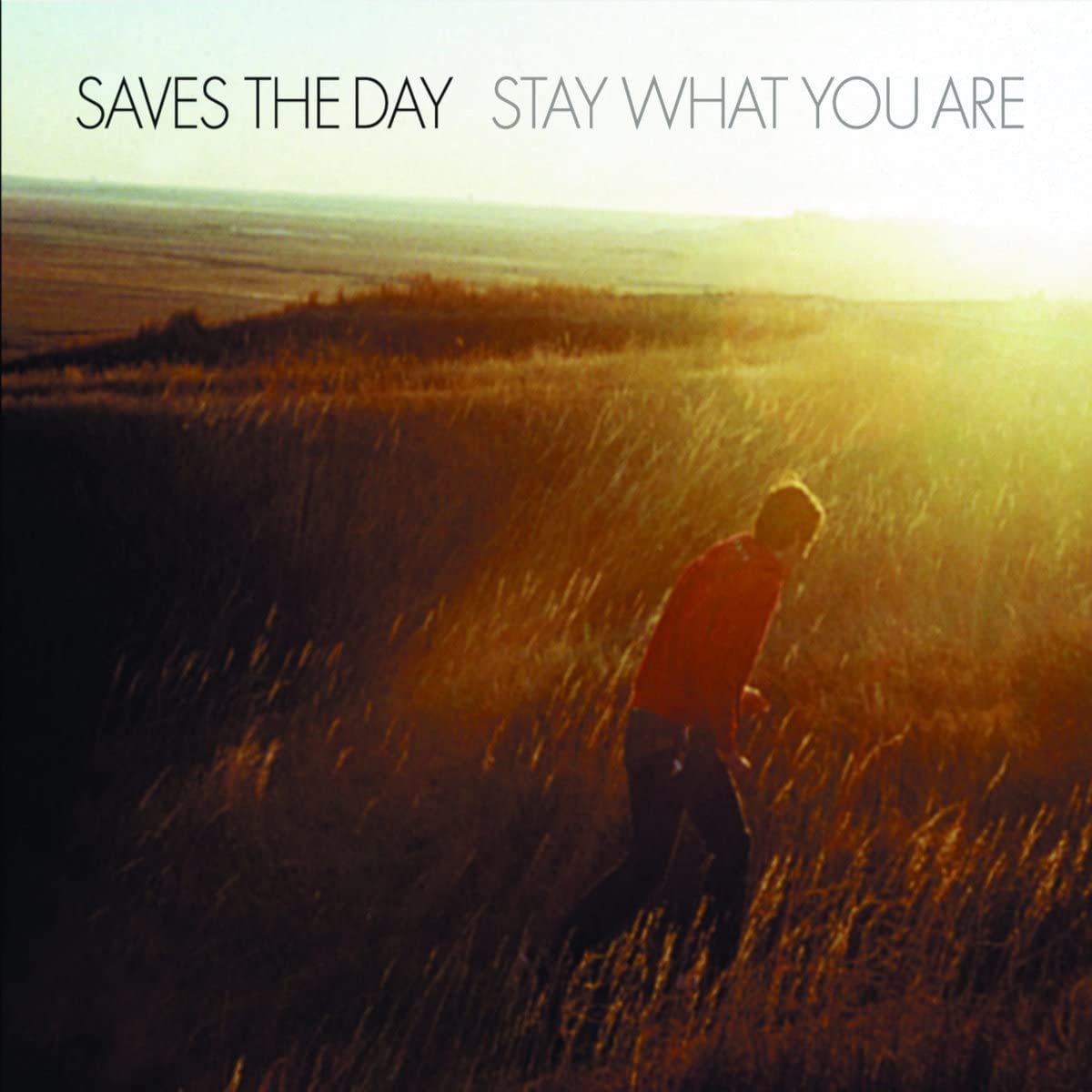 Stay What You Are [CD]