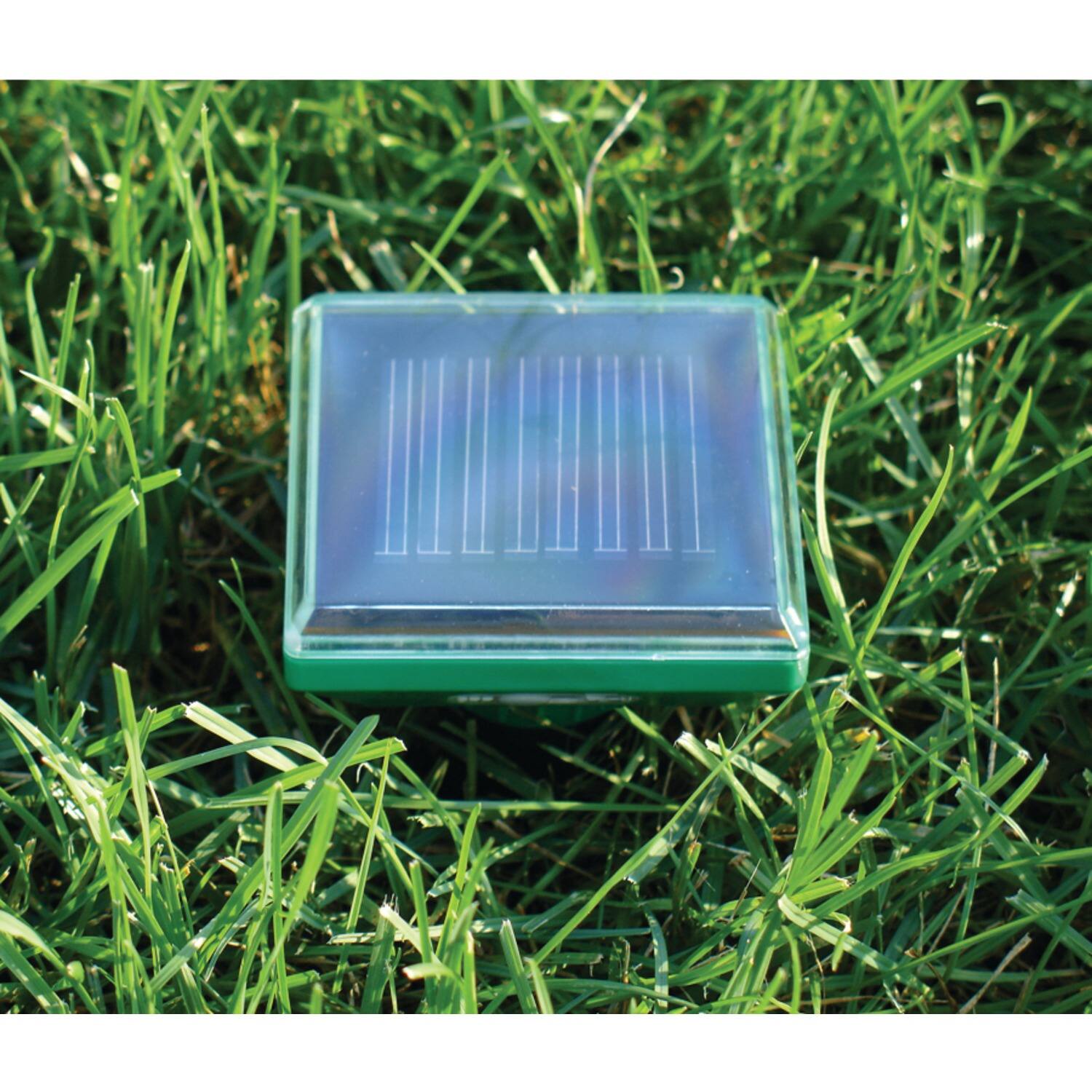 Angle. P3 International - Sol-Mate Mole Repeller - Black.