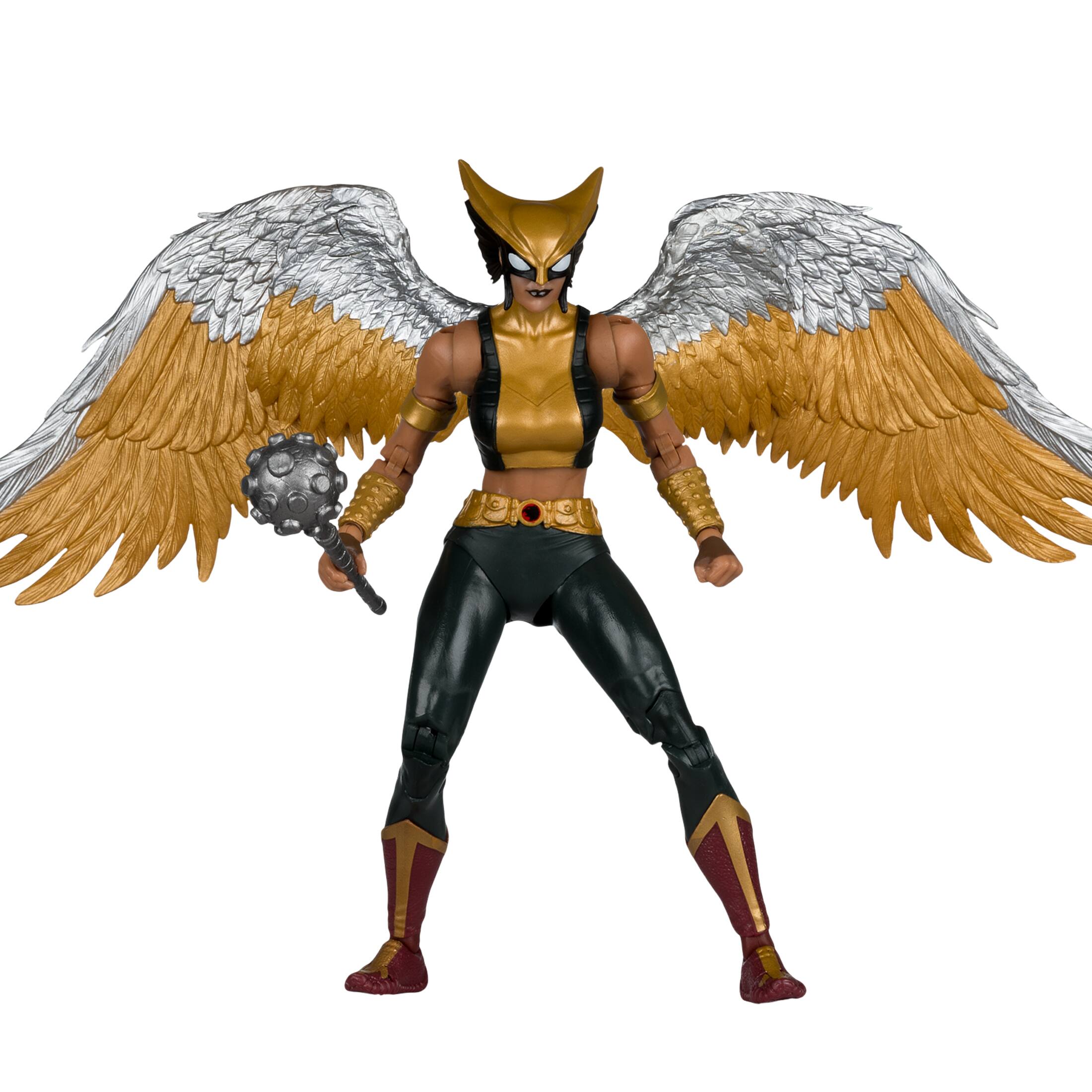 Angle. McFarlane Toys - DC Multiverse Hawkgirl (Kendra Saunders) 11" Deluxe Action Figure - McFarlane Collector Edition #63.