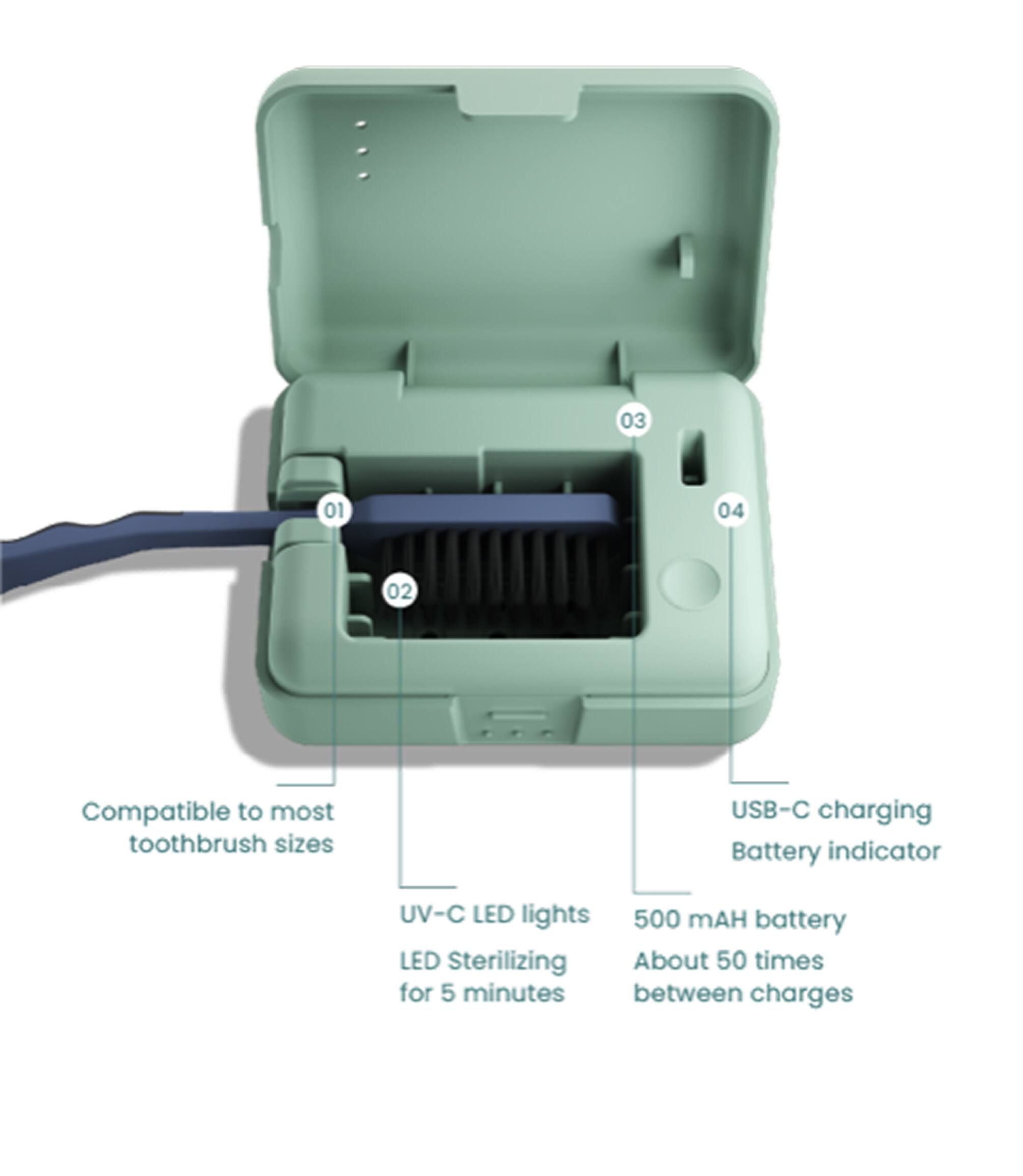03 01 04 02

Compatible to most toothbrush sizes  
USB-C charging  
Battery indicator  
UV-C LED lights  
500 mAH battery  
LED Sterilizing  
About 50 times for 5 minutes between charges