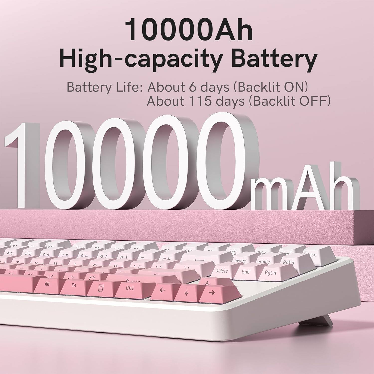 10000Ah High-capacity Battery  
Battery Life: About 6 days (Backlit ON)  
About 115 days (Backlit OFF)  
10000mAh