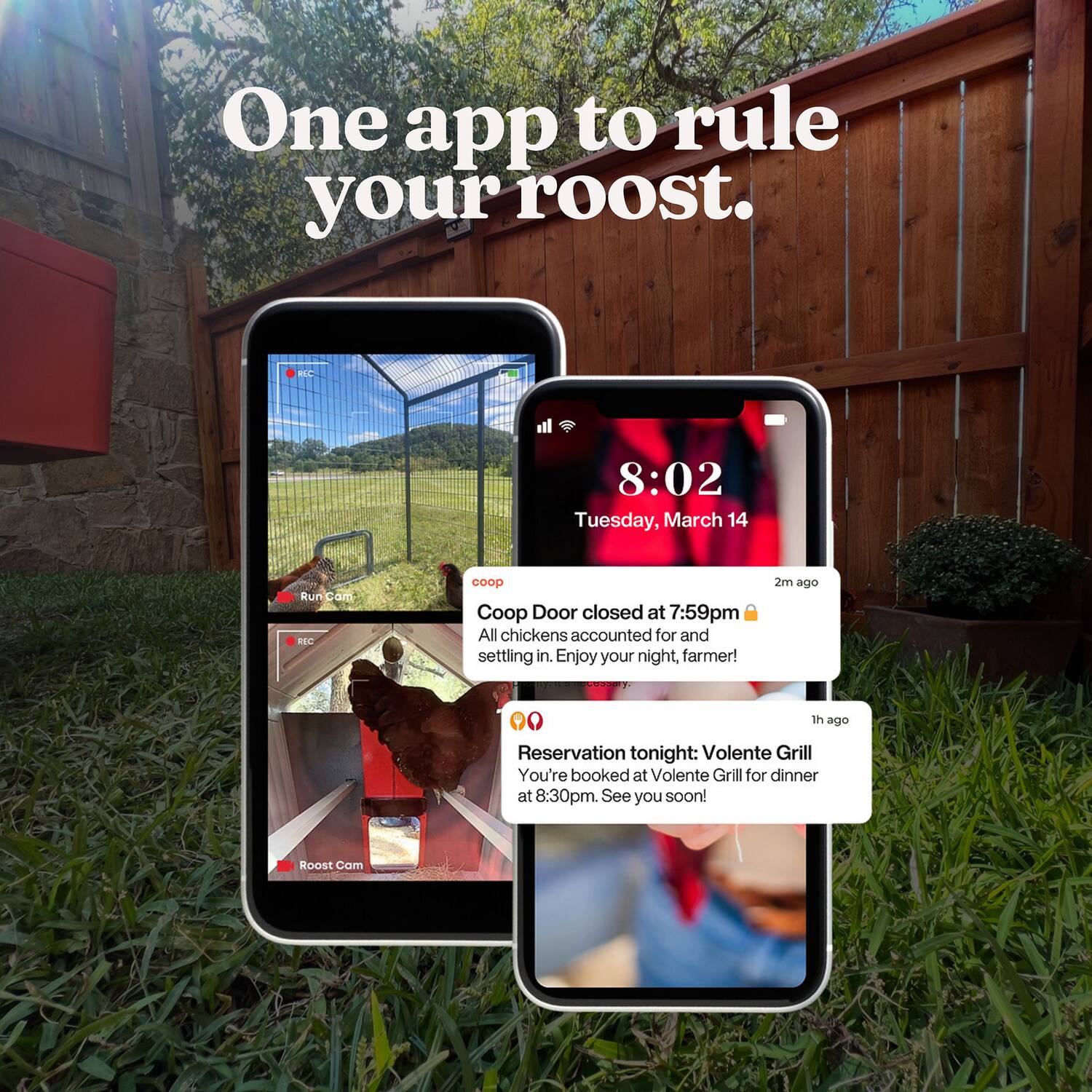 One app to rule your roost.

EIC 8:02 Tuesday, March 14

Coop Door closed at 7:59pm  
All chickens accounted for and settling in.  
Enjoy your night, farmer!  
2m ago

Reservation tonight: Volente Grill  
You're booked at Volente Grill for dinner at 8:30pm.  
See you soon!  
1h ago