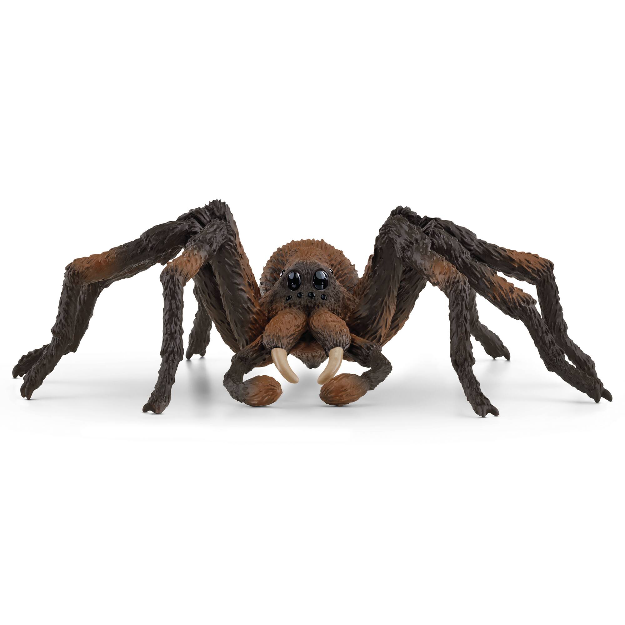 Front. Schleich - Wizarding World: Aragog.