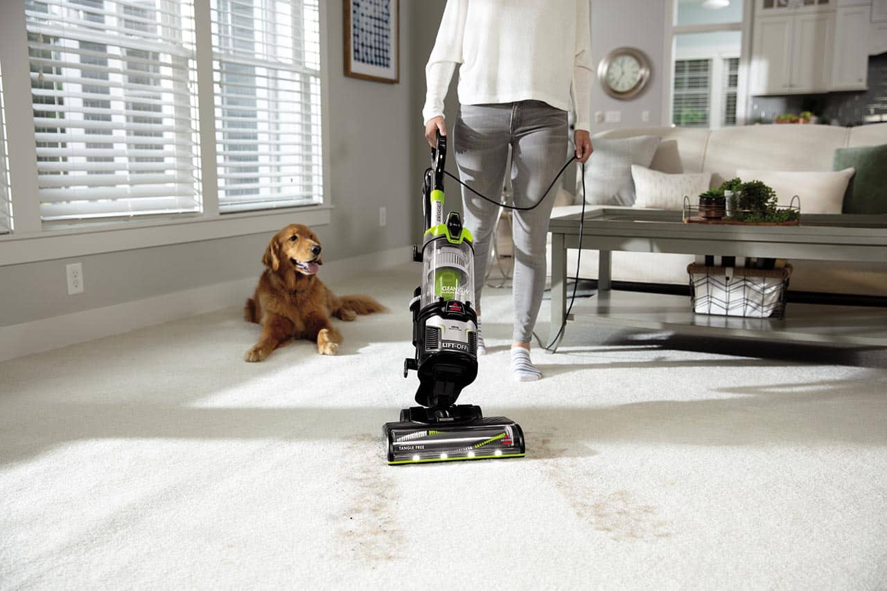 Electronic vacuum shops for pet hair