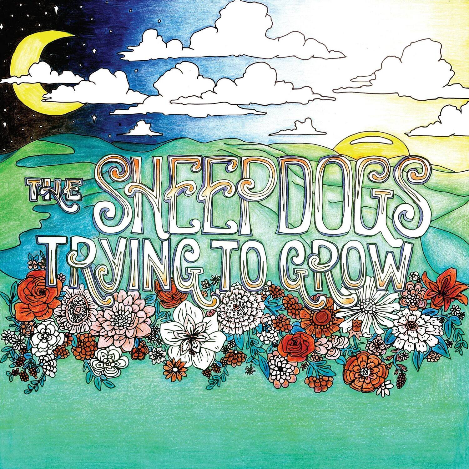 The Sheepdogs - Trying To Grow   - COMPACT DISCS [CD] price history on PriceWatchPro