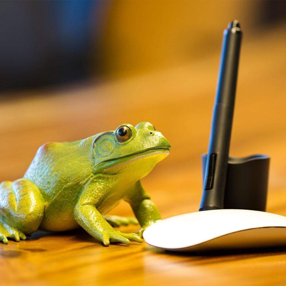 Angle. Safari Ltd. - American Bullfrog Toy Figurine.