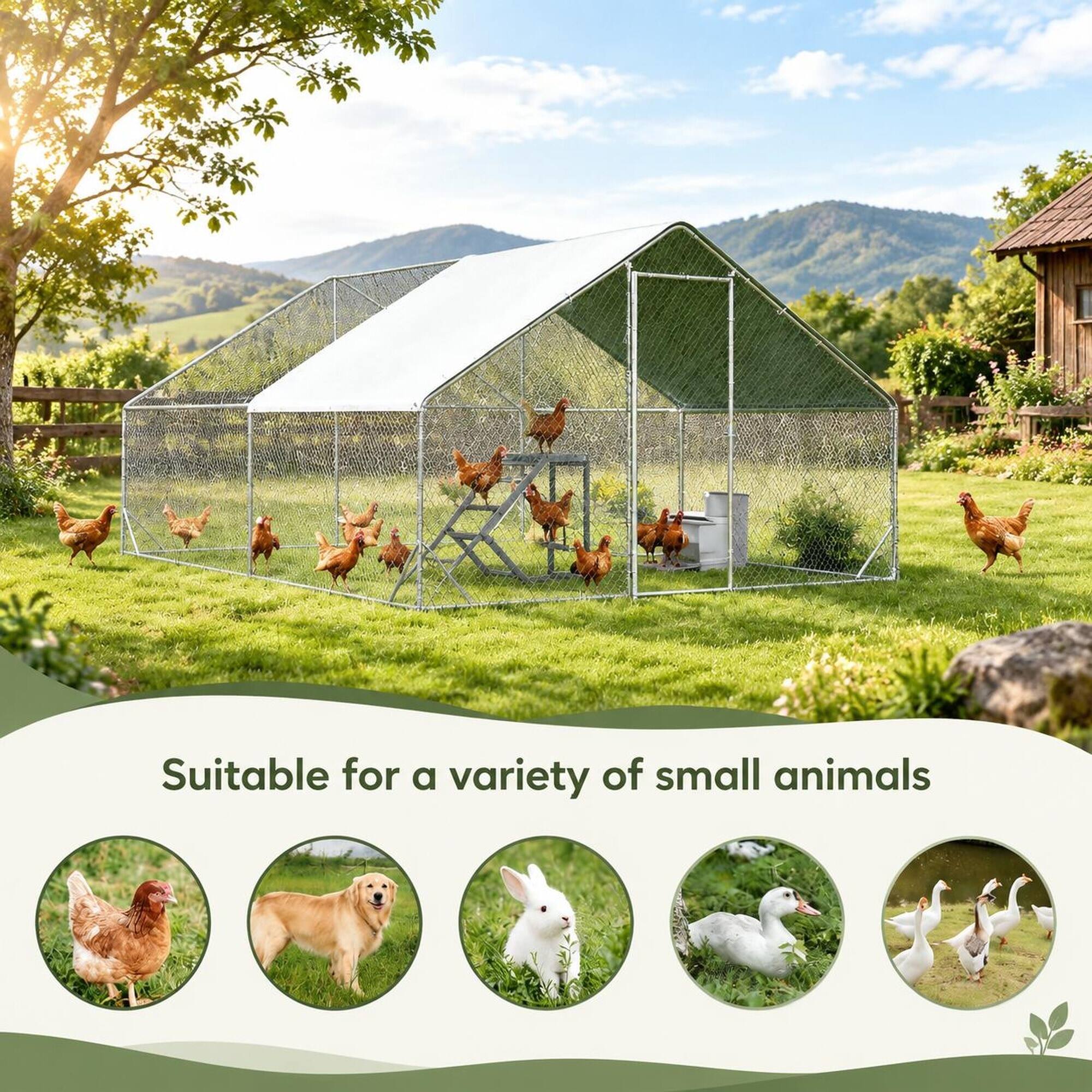 Suitable for a variety of small animals
