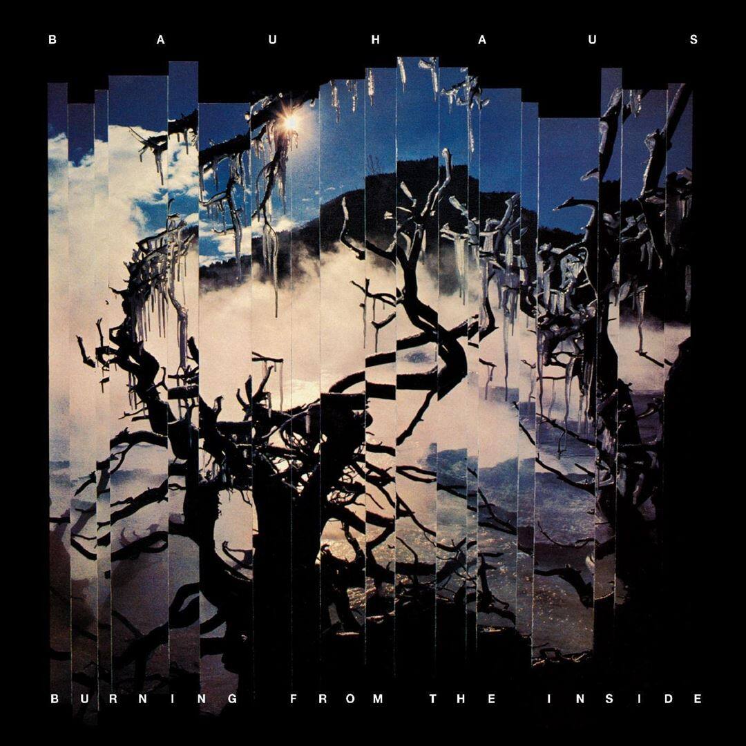 Burning from the Inside [LP] [VINYL] price history on PriceWatchPro