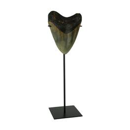Zeckos - Mounted Giant 6 Inch Megalodon Shark Tooth Fossil Replica Sculpture - Gray