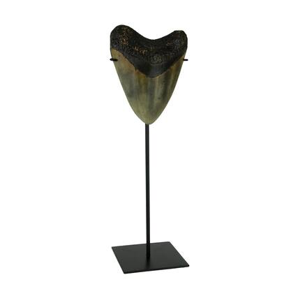 Front. Zeckos - Mounted Giant 6 Inch Megalodon Shark Tooth Fossil Replica Sculpture - Grey.
