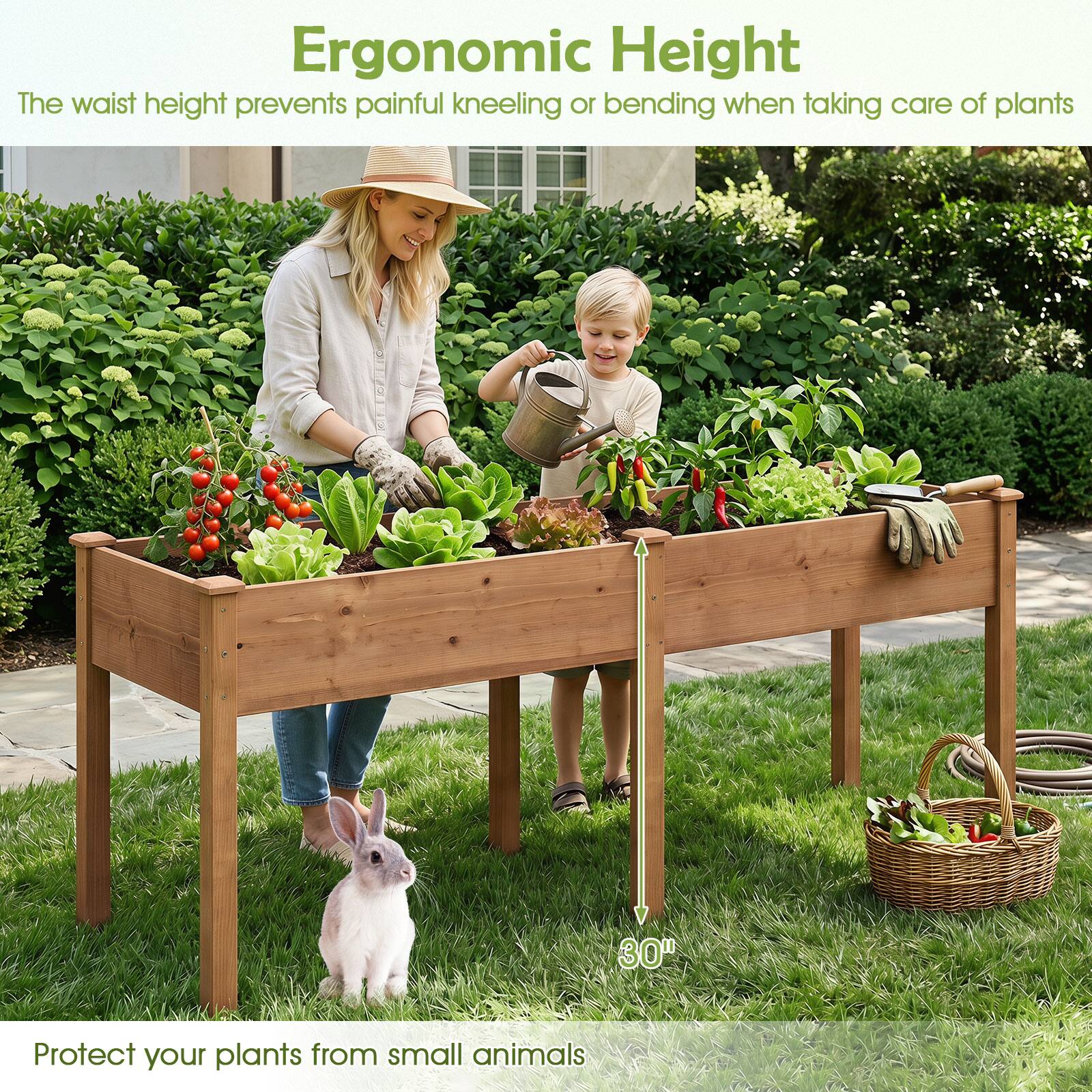 Ergonomic Height  
The waist height prevents painful kneeling or bending when taking care of plants  

30"  

Protect your plants from small animals