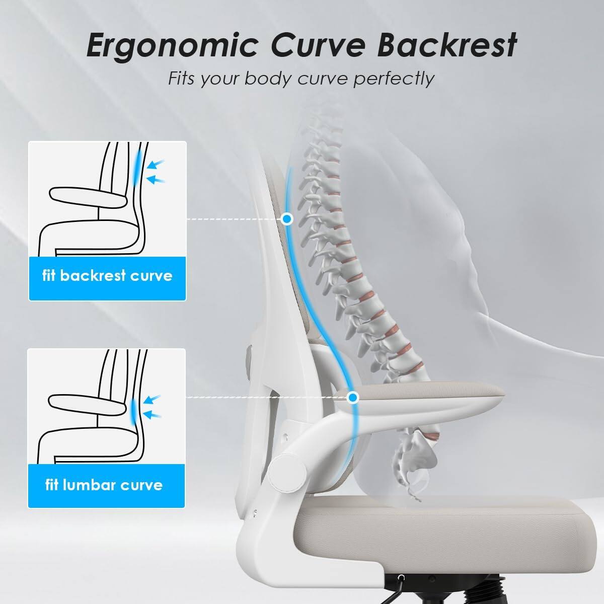 Ergonomic Curve Backrest  
Fits your body curve perfectly  

fit backrest curve  
fit lumbar curve
