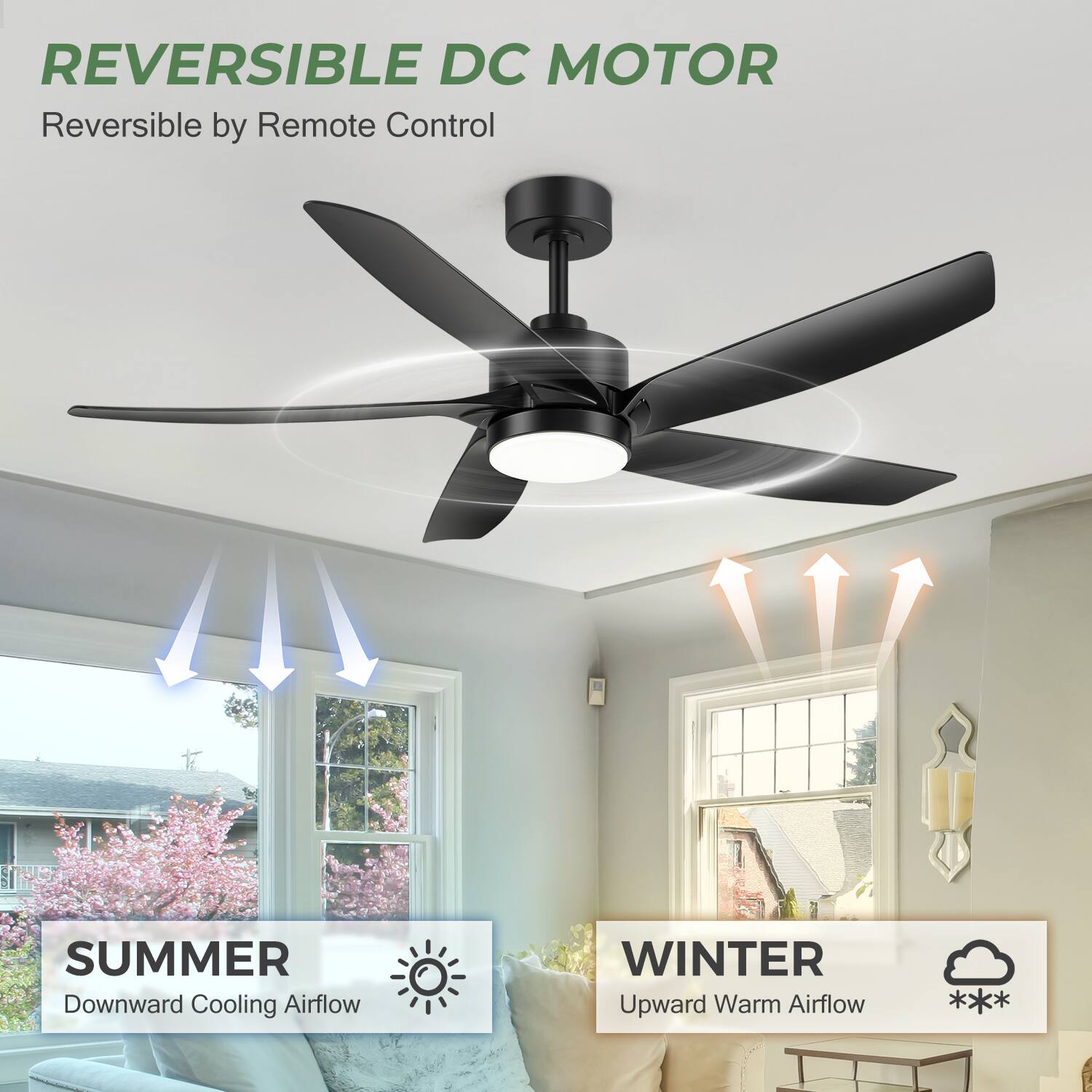 REVERSIBLE DC MOTOR  
Reversible by Remote Control  

SUMMER  
Downward Cooling Airflow  

WINTER  
Upward Warm Airflow