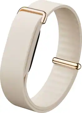Google - Fitbit Air Elevated Modern Band - One Size - Porcelain