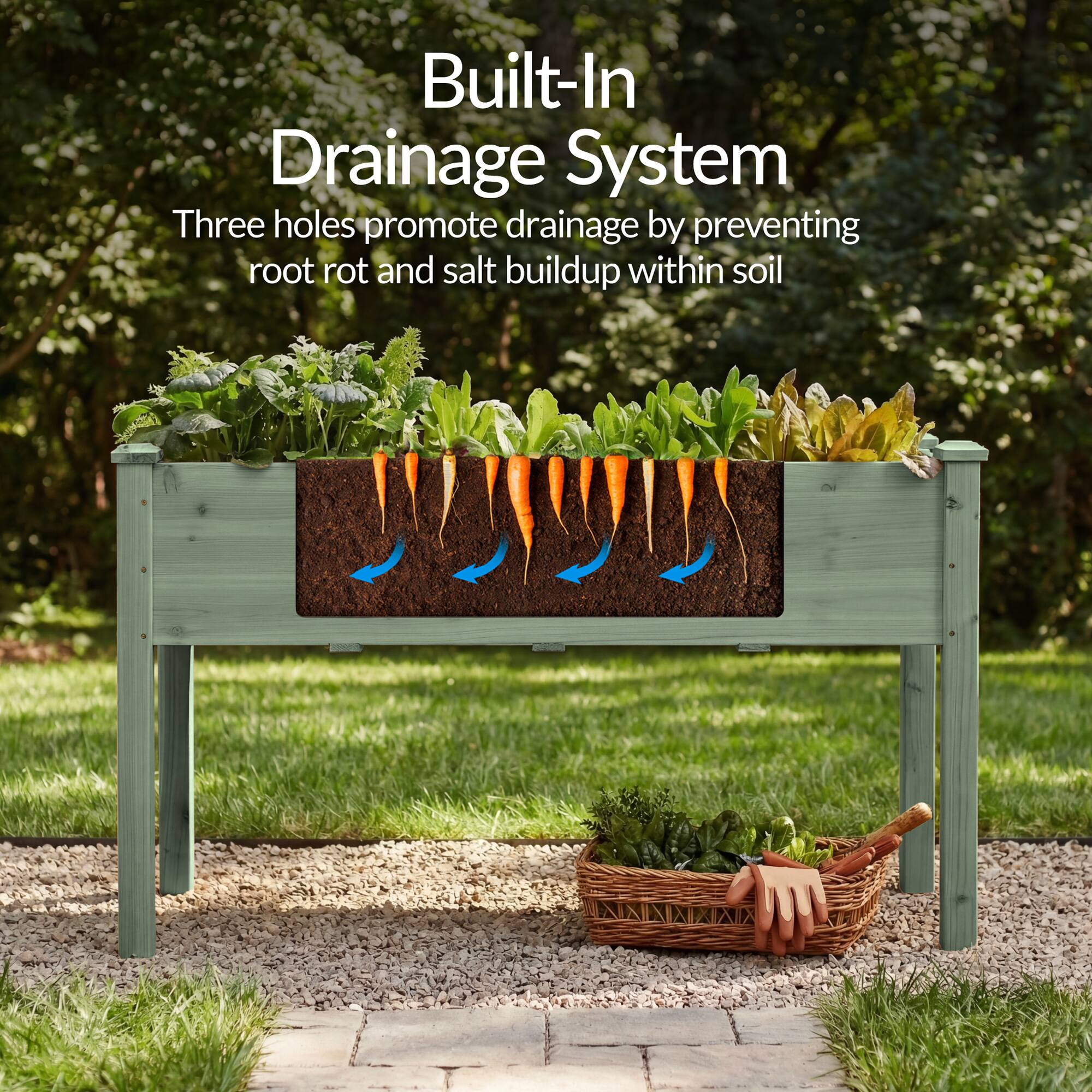 Built-In Drainage System  
Three holes promote drainage by preventing root rot and salt buildup within soil