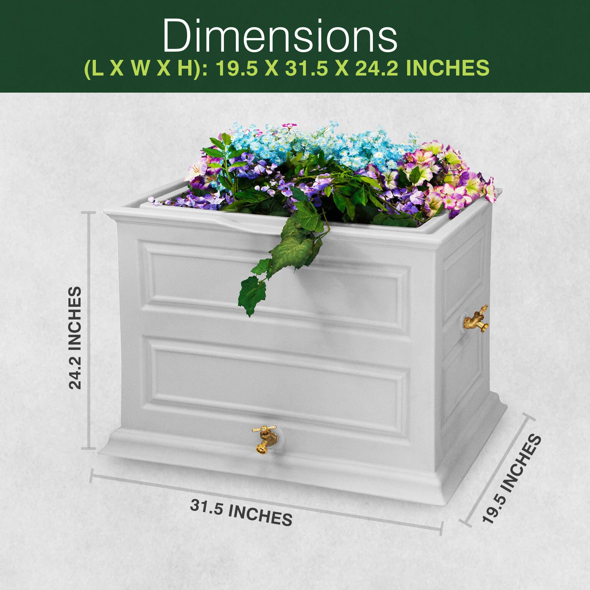 Dimensions (L X W X H): 19.5 X 31.5 X 24.2 INCHES