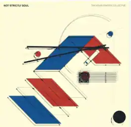 The Kevin Fingier Collective - Not Strictly Soul - VINYL LP