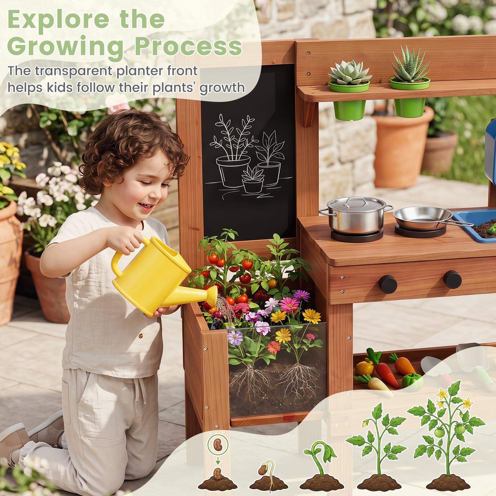 Explore the Growing Process

The transparent planter front helps kids follow their plants' growth