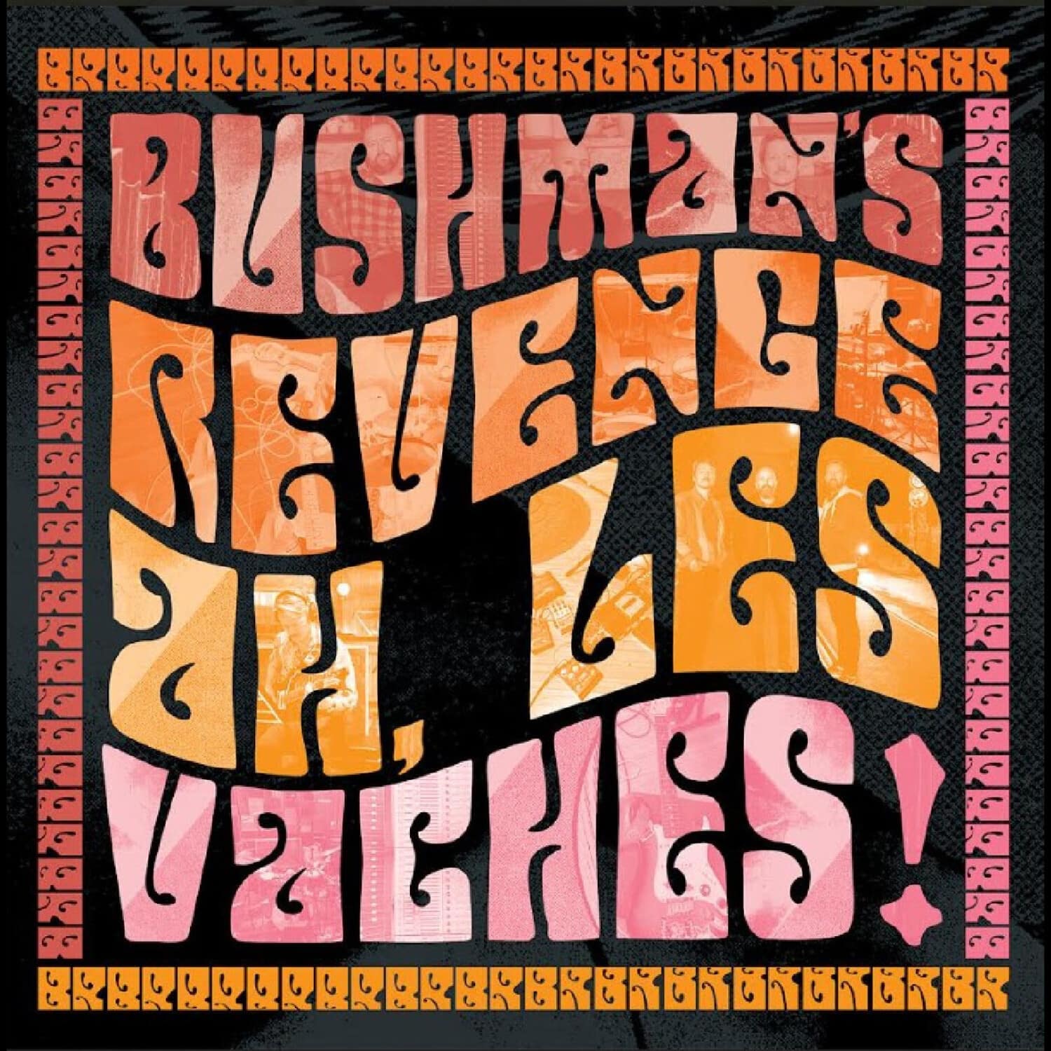 Bushman's Revenge - Ah, Les Vaches - Orange Vinyl   - VINYL LP price history on PriceWatchPro