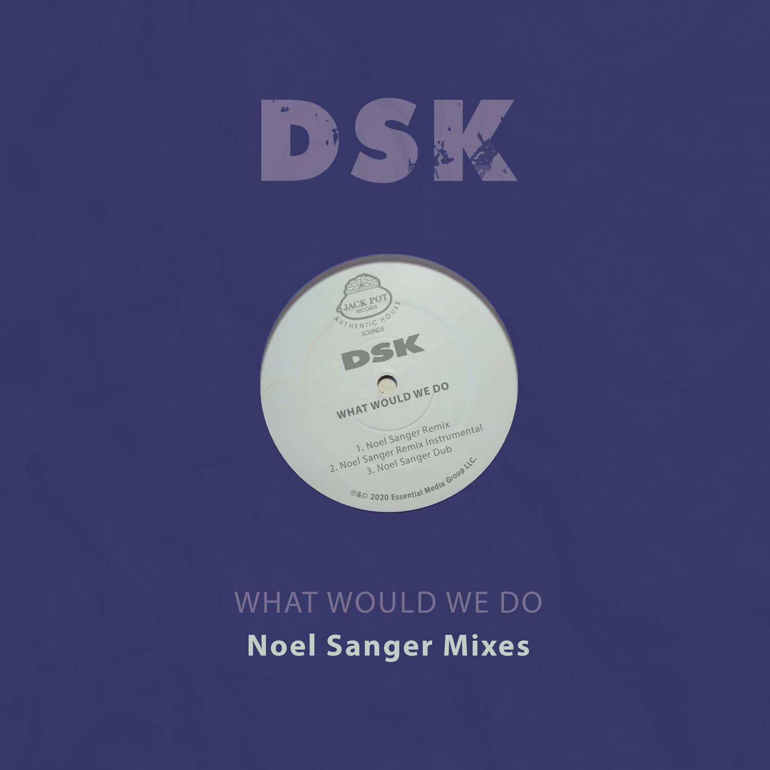 DSK - What Would We Do - Noel Sanger Mixes   - COMPACT DISCS [CD] price history on PriceWatchPro