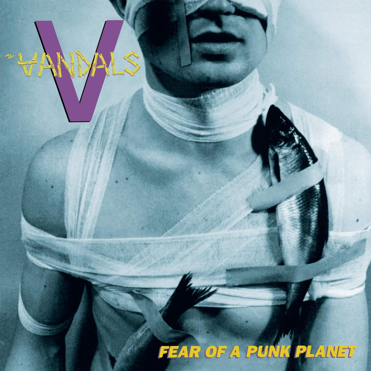 The Vandals - Fear Of A Punk Planet - BLUE with PURPLE SPLATTER   - VINYL LP price history on PriceWatchPro