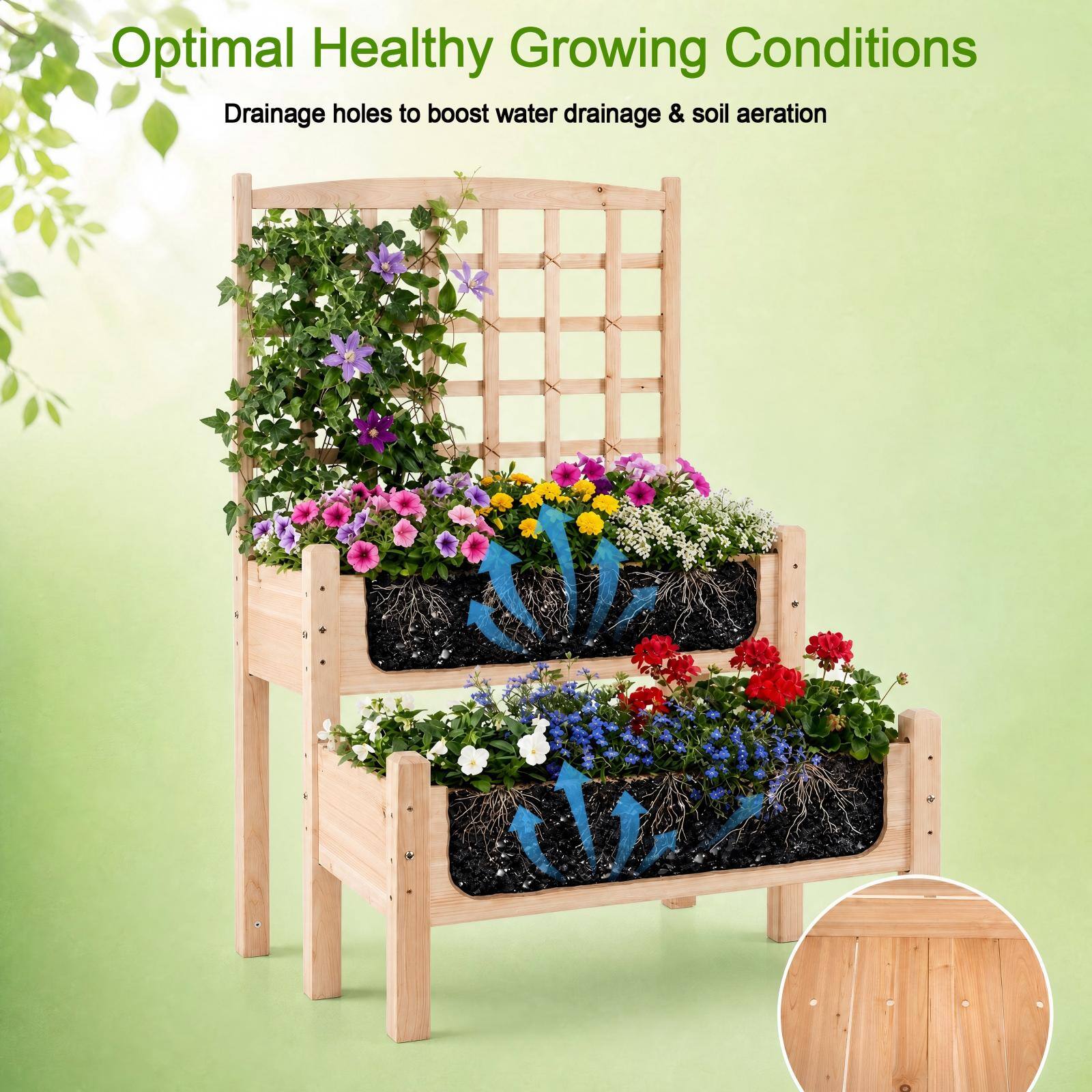 Optimal Healthy Growing Conditions  
Drainage holes to boost water drainage & soil aeration