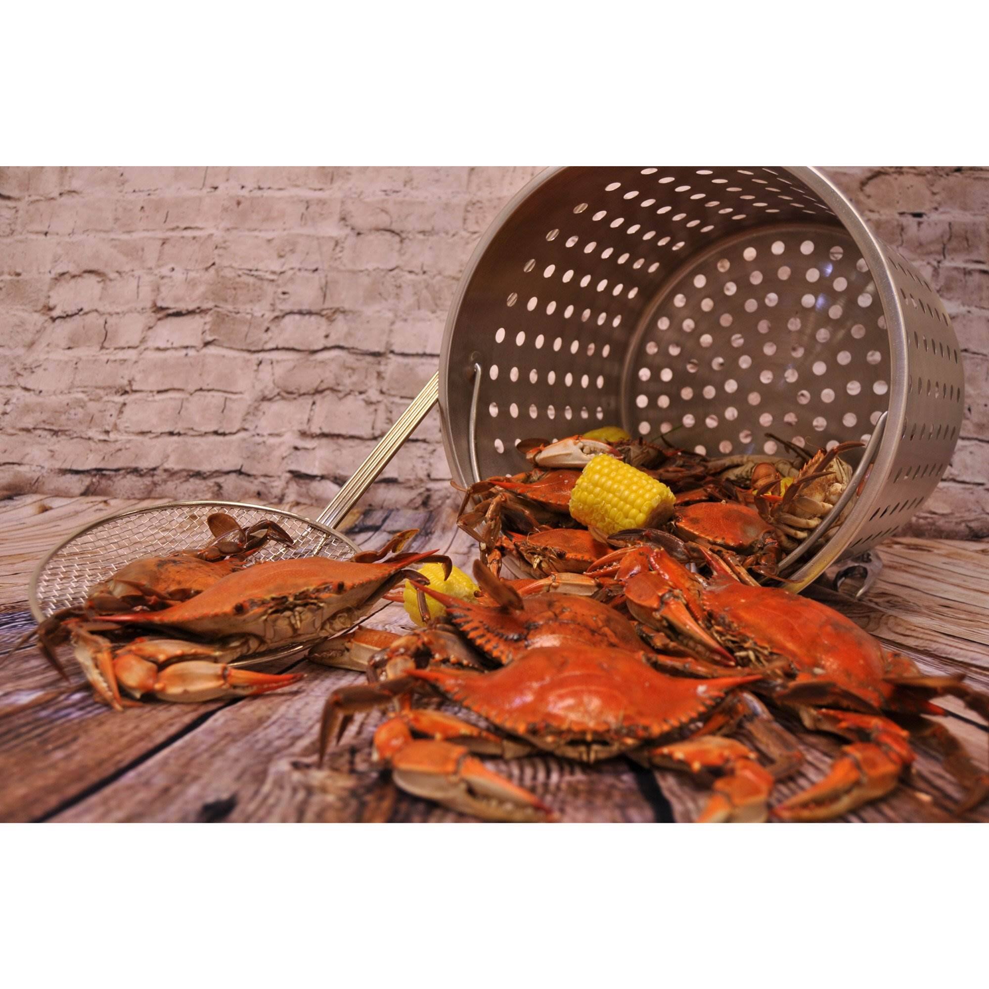 Alt View 10. Bayou Classic - Bayou Classic 36 Quart Stainless Steel Stockpot with Vented Lid, BC-1136, Silver - Silver.