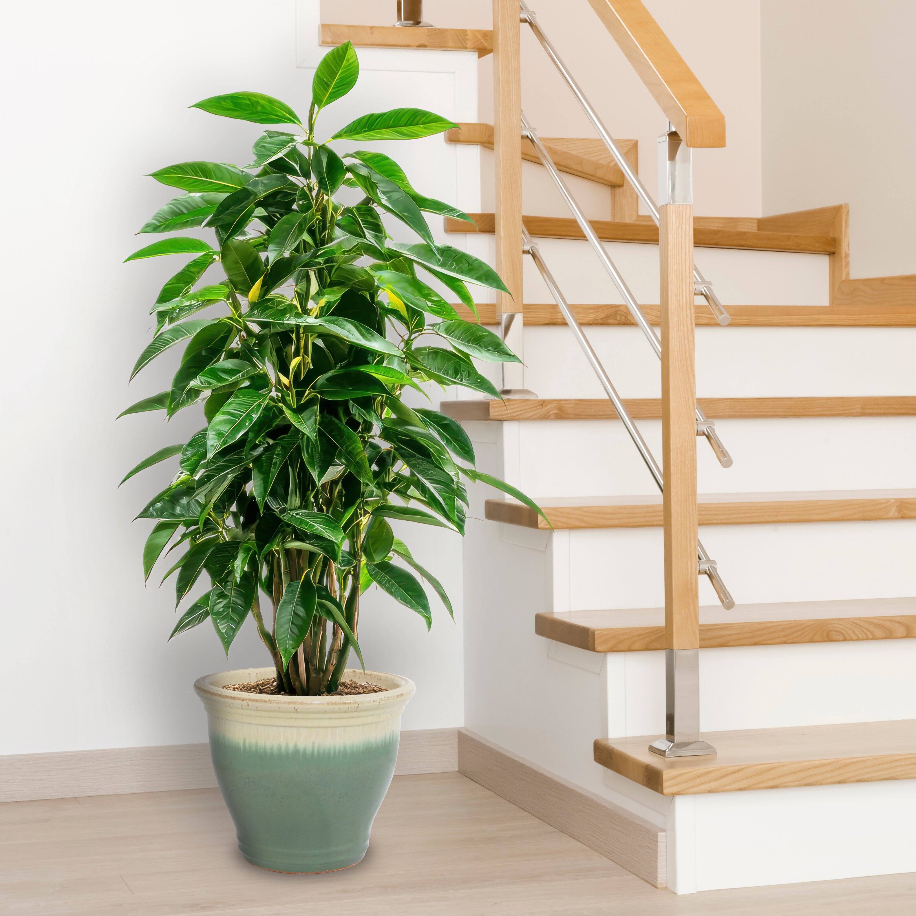 Alt View 8. Sunnydaze - 15 in Studio High-Fired Glazed Ceramic Planter - Seafoam.