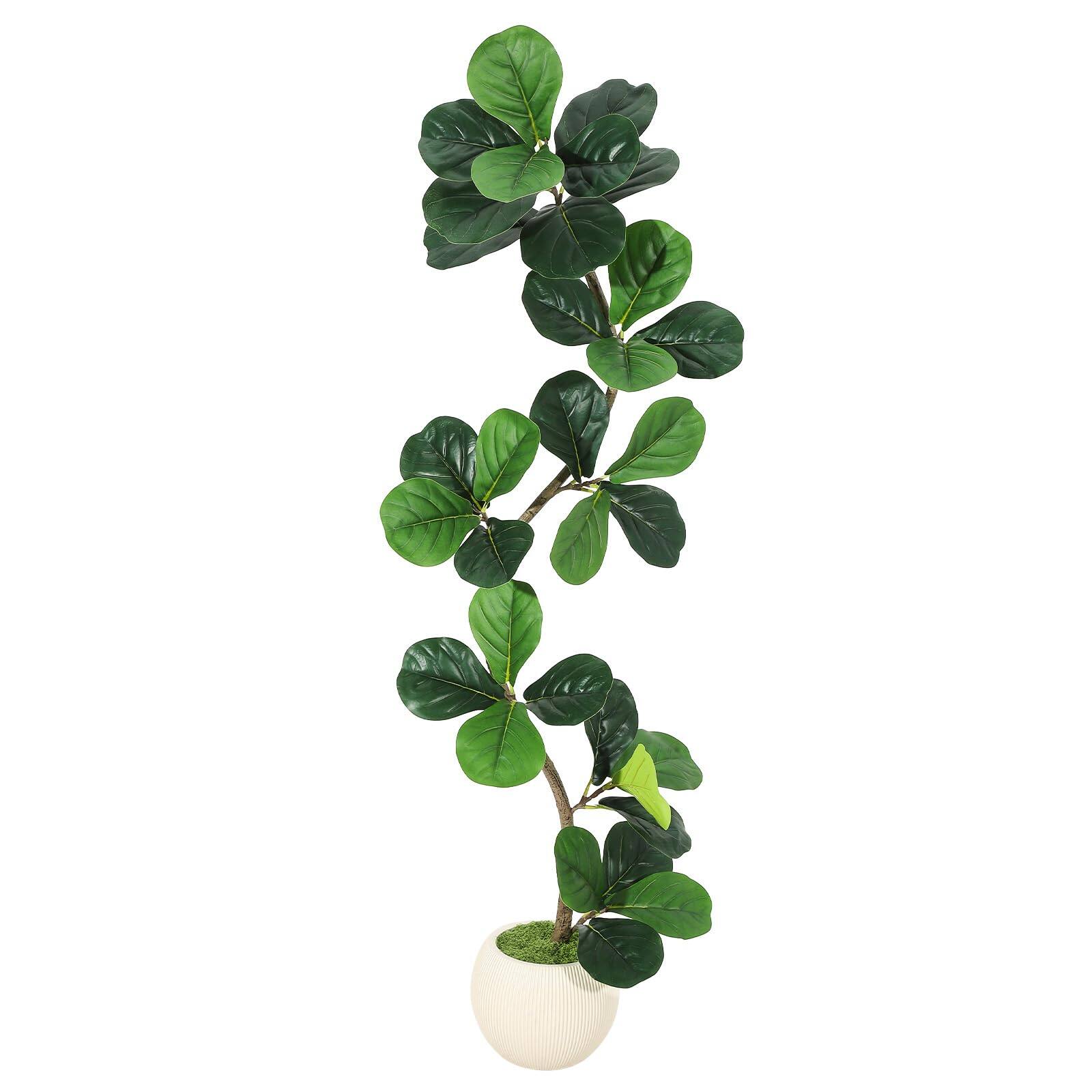 Front. Homhougo - 5FT Fiddle Leaf Fig – Faux Rubber Tree with Moss Base, White Planter, Realistic Indoor Plant - Green.