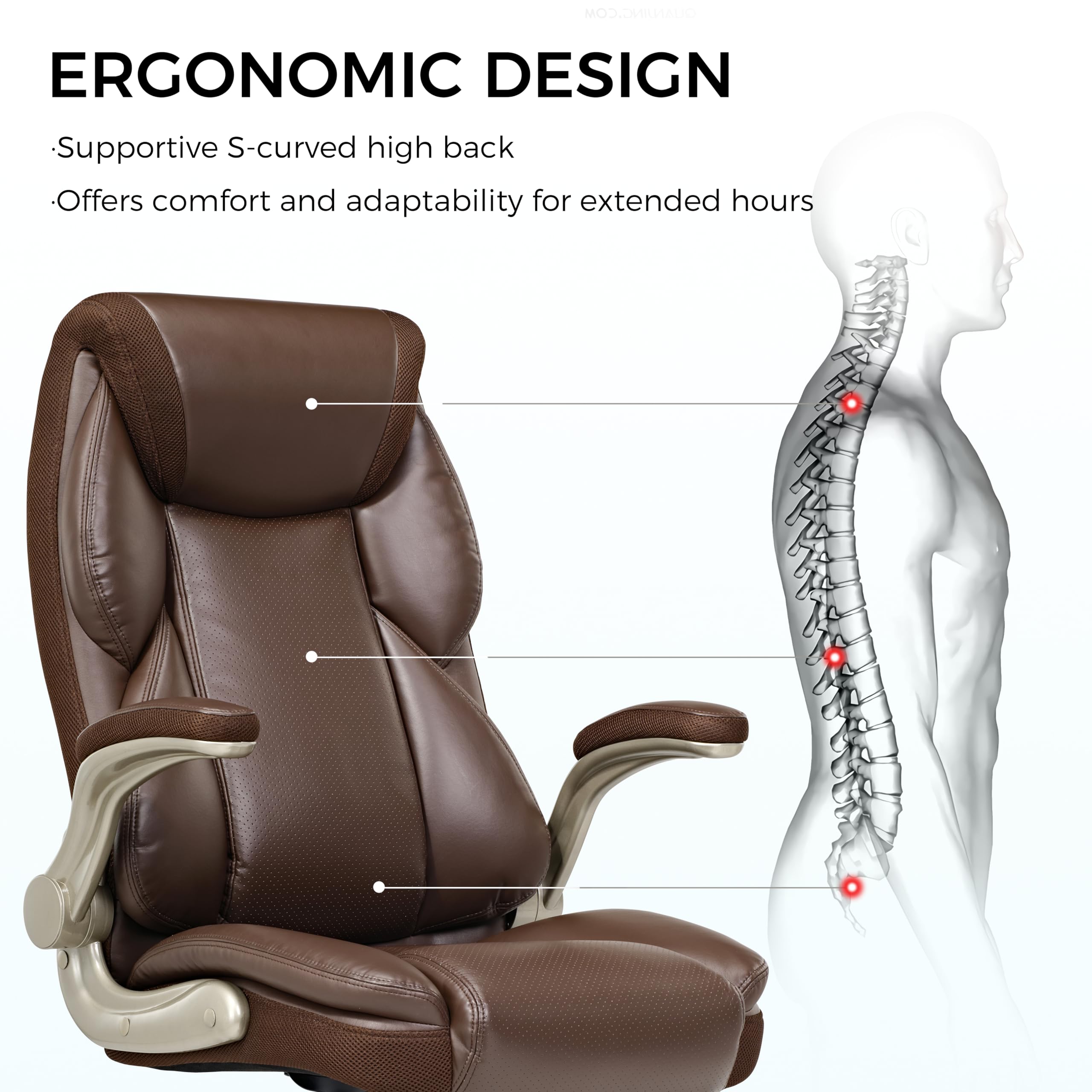 CANG.COM ERGONOMIC DESIGN
Supportive S-curved high back
Offers comfort and adaptability for extended hours