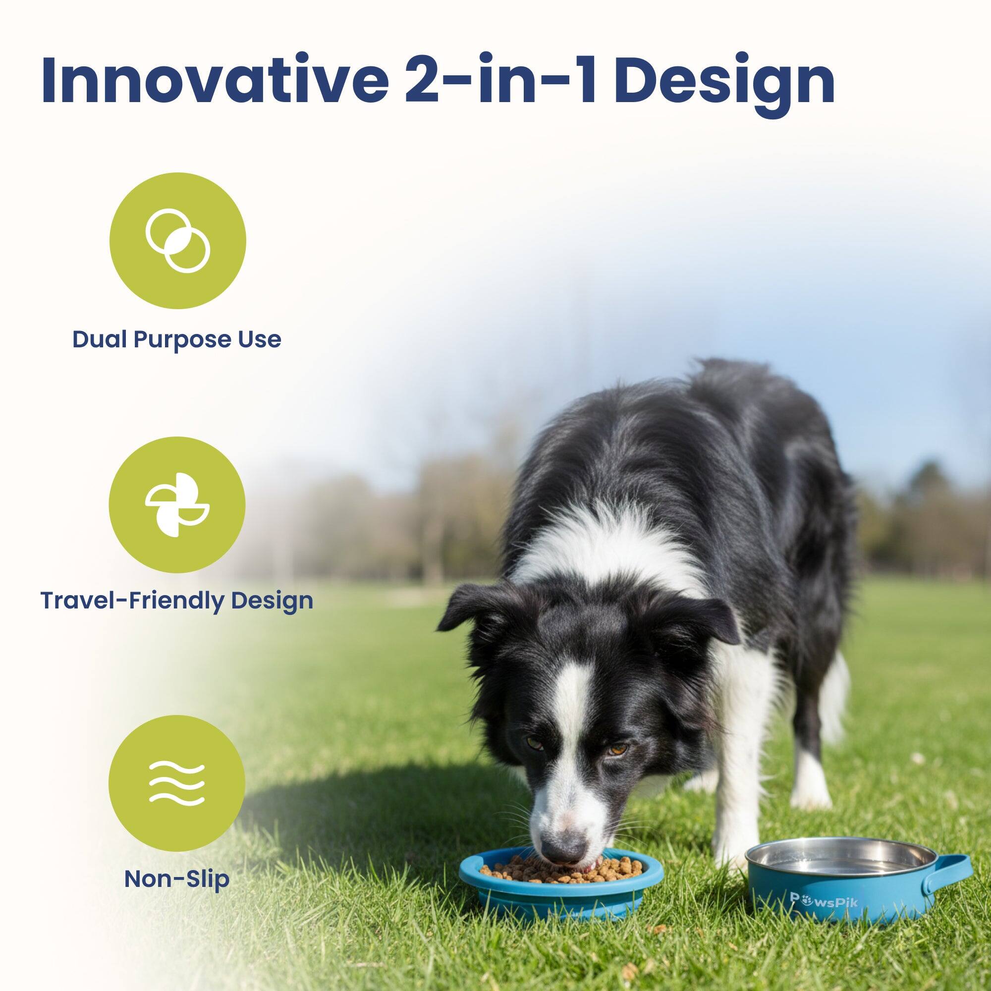 Innovative 2-in-1 Design  
Dual Purpose Use  
Travel-Friendly Design  
Non-Slip  
PawsPik
