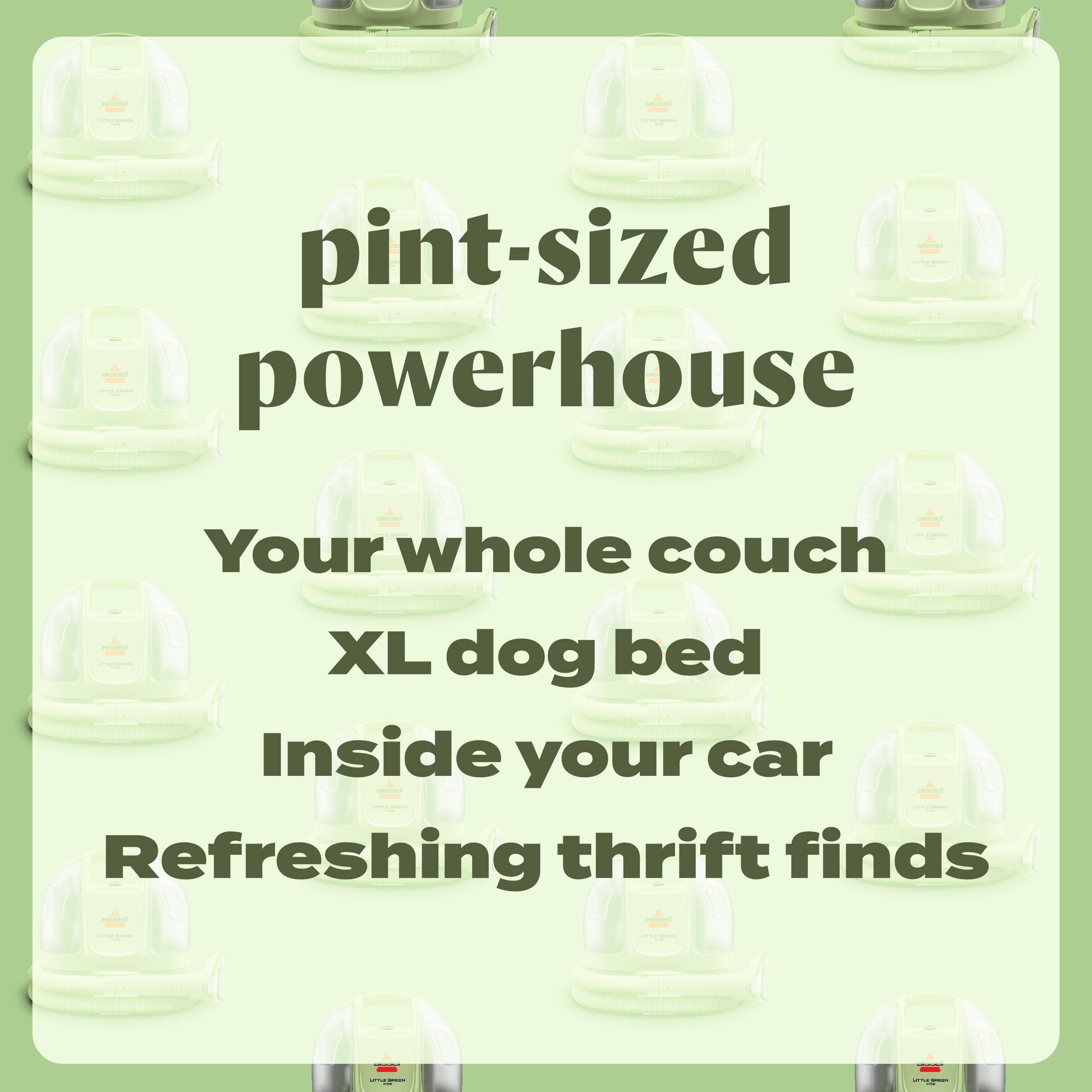 pint-sized powerhouse | Your whole couch XL dog bed Inside your car Refreshing thrift finds