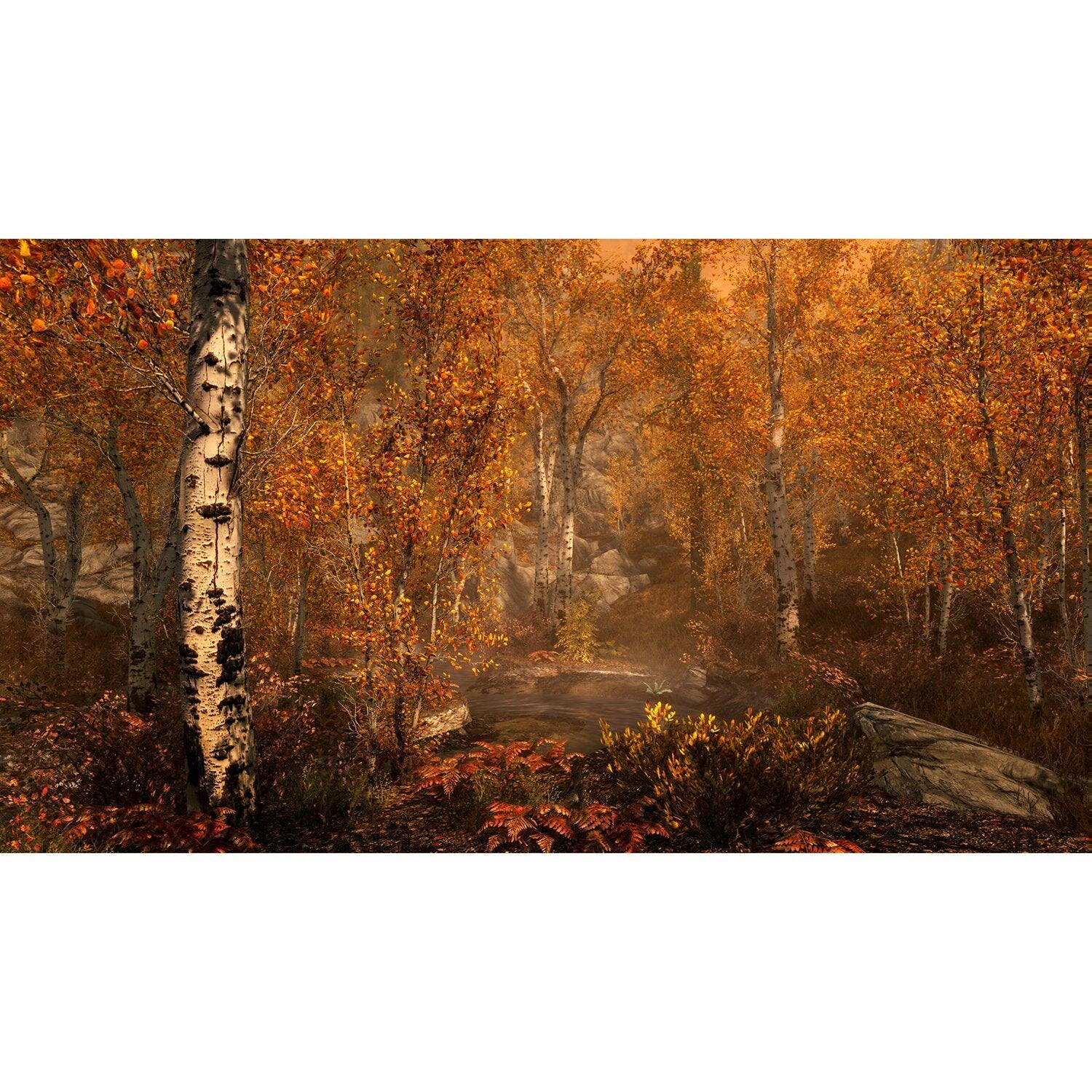 Alt View 8. Bethesda - Elder Scrolls 5: Skyrim Anniversary Edition [PlayStation 4].