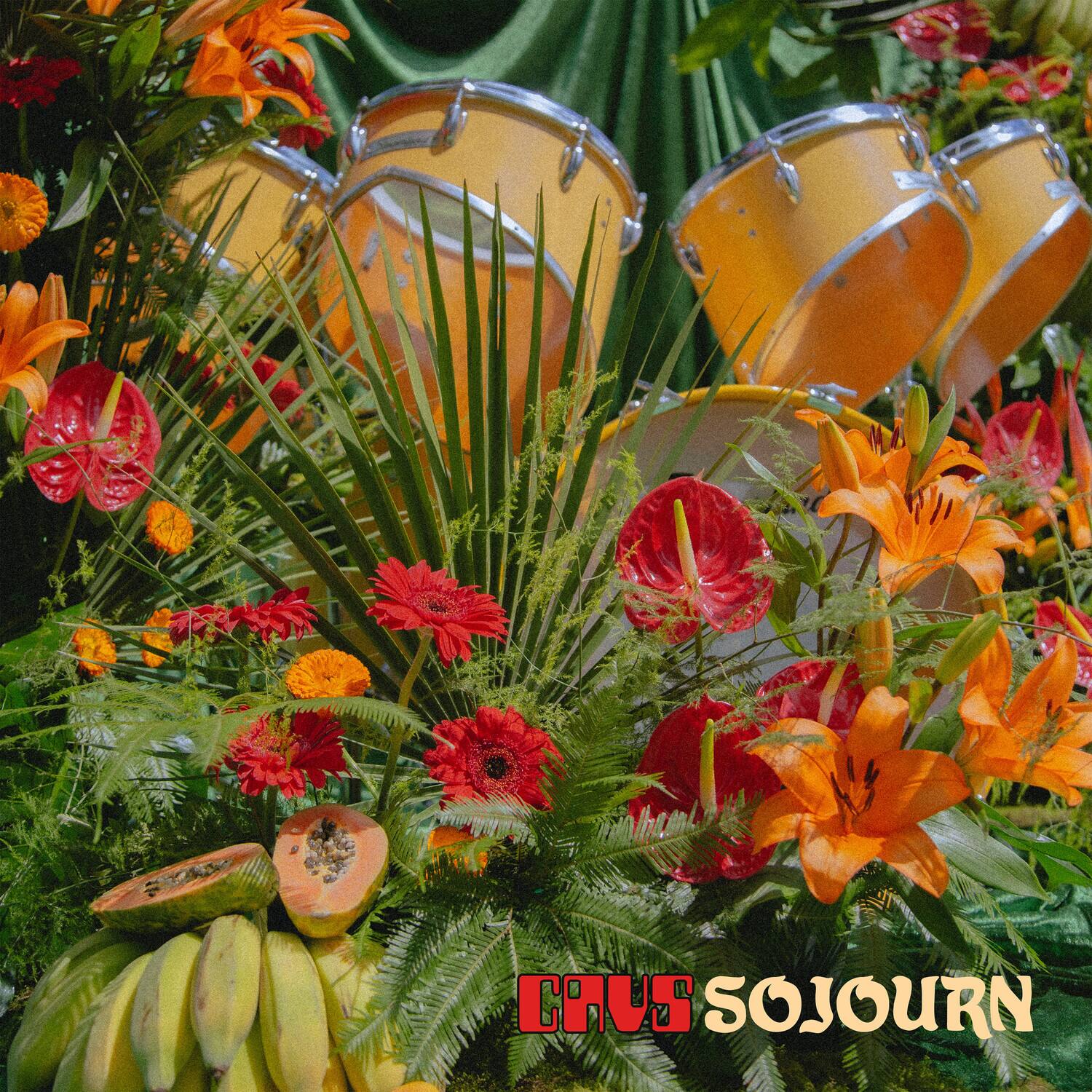 CAVS SOJOURN