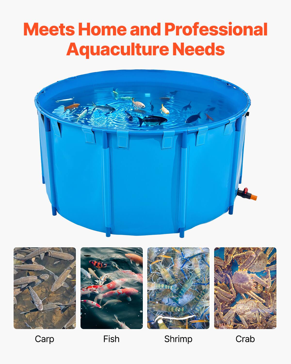 Meets Home and Professional Aquaculture Needs

Carp  
Fish  
Shrimp  
Crab