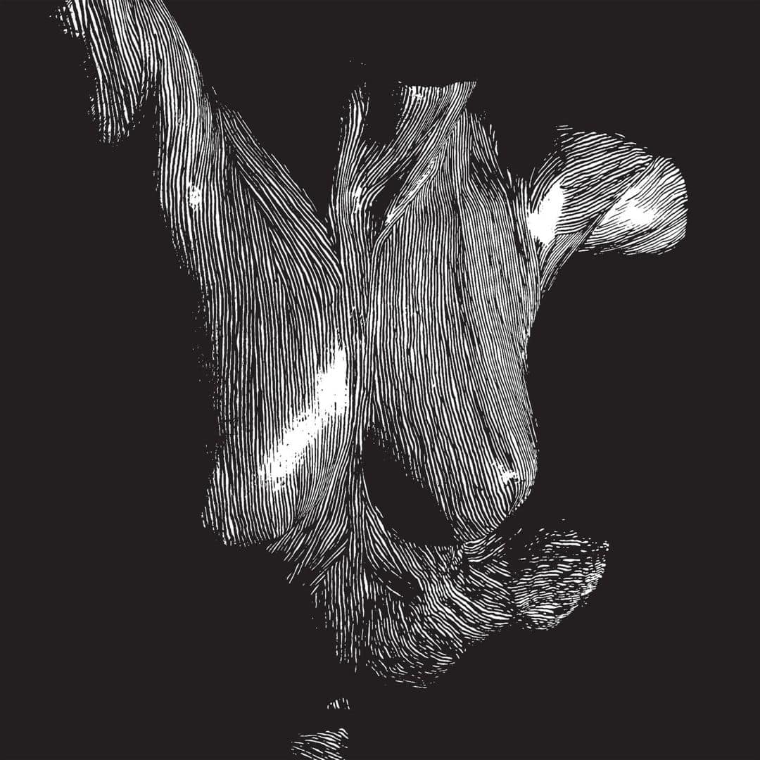 Self Preserved While the Bodies Float Up [LP] [VINYL]