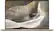 ASUS Zenbook