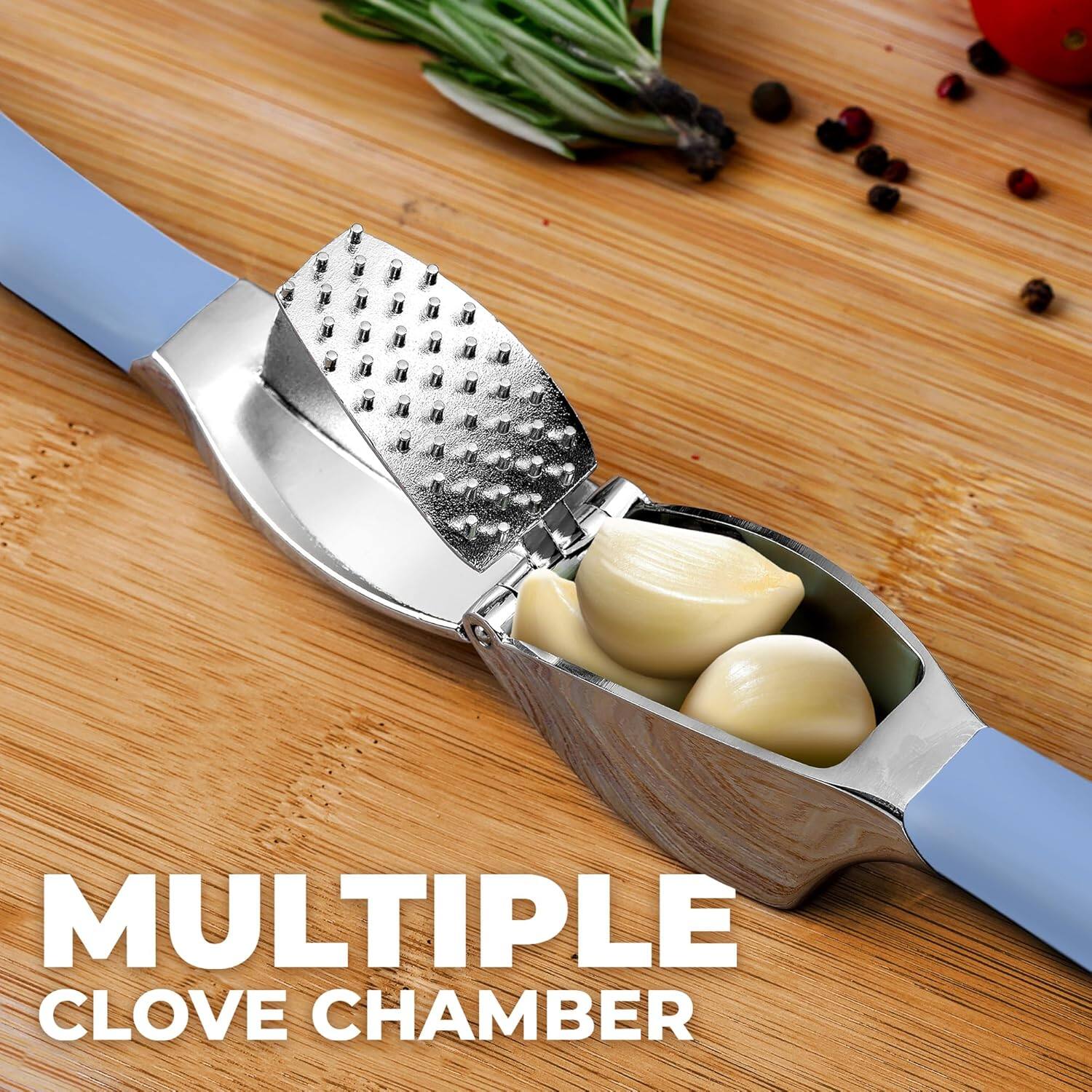 MULTIPLE CLOVE CHAMBER