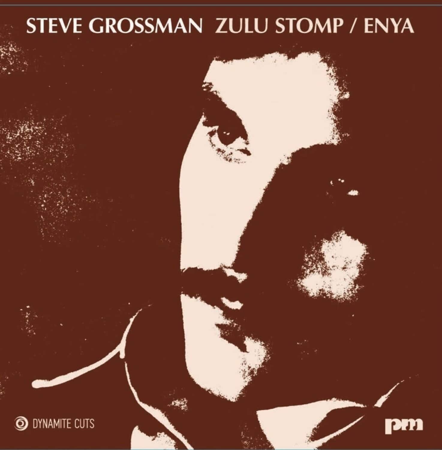 Steve Grossman - Zulu Stomp / Enya   - 7-INCH SINGLE [7 inch Vinyl Disc] price history on PriceWatchPro