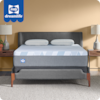 Sealy DreamLife Sealy