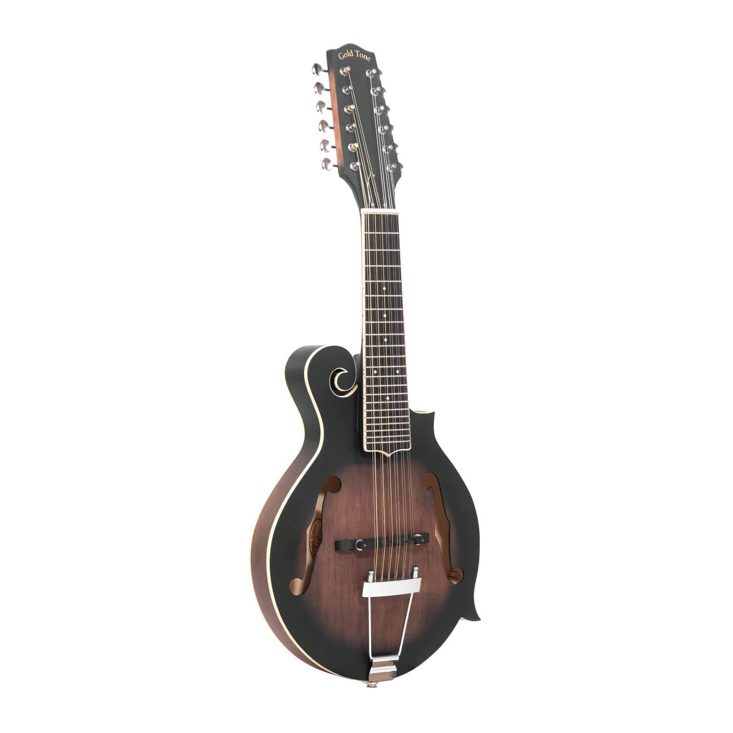 Gold Tone - F-12: 12-string F-style Mando-Guitar with Pickup and Case price history on PriceWatchPro